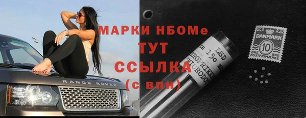 ешки Алексин