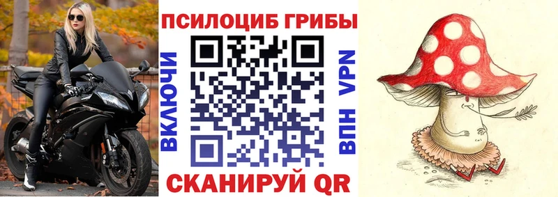 закладки  Данилов  Галлюциногенные грибы Magic Shrooms 